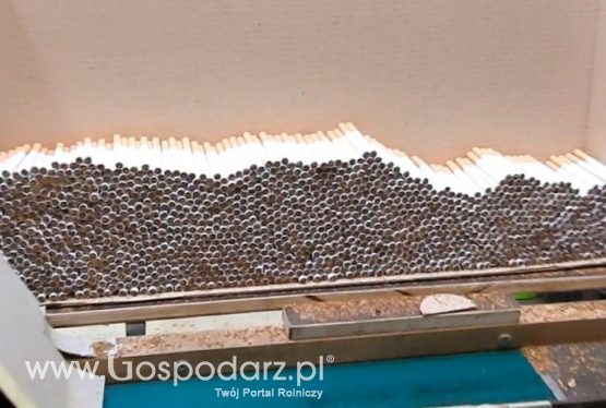 Straty Skarbu Państwa mogły wynieść nawet 20 mln zł