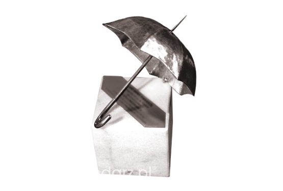 Srebrny Parasol dla Generali Polska