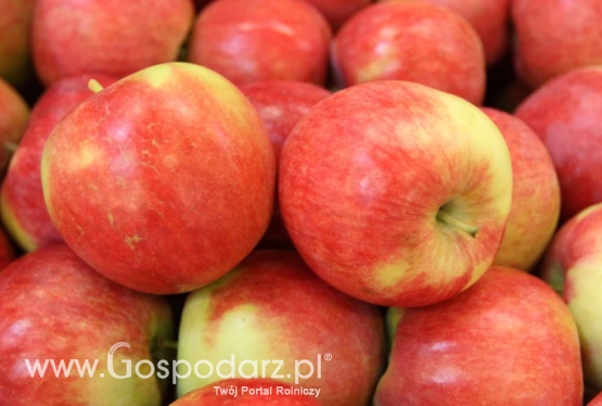 Eksport jabłek na Tajwan