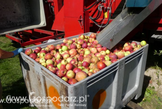 Maszyny do zbioru jabłek przemysłowych