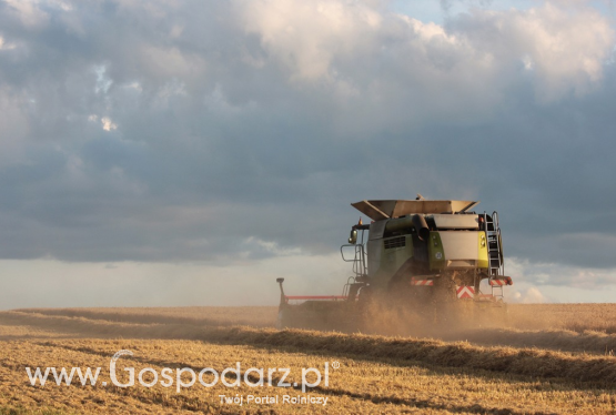 Żniwa i alkohol – niepokojące dane o skali zjawiska