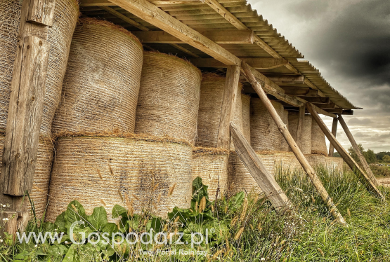 Rolnicy bronią się przed bankructwem