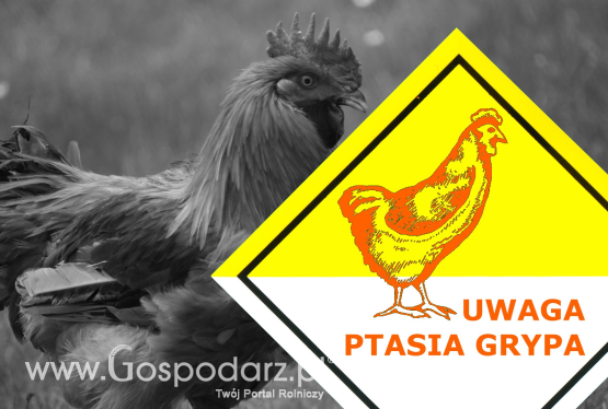 ALERT DLA WSZYSTKICH HODOWCÓW DROBIU