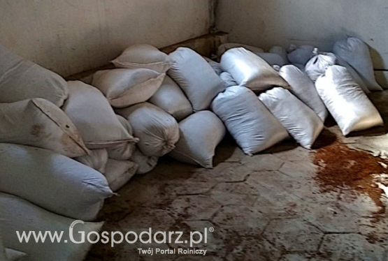 Przejęto 15 mln papierosów i 20 ton tytoniu