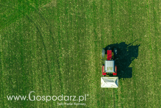 Trwałe użytki zielone i plantacje koniczyny