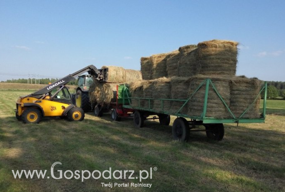 Rusza nabór wniosków na rozwój usług rolniczych