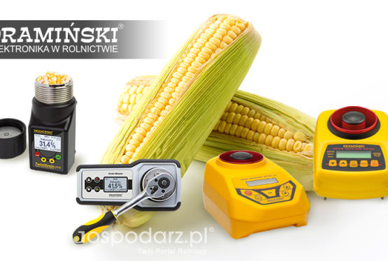 Wilgotnościomierz do kukurydzy. Porównanie modeli marki DRAMIŃSKI