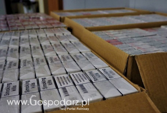 Kontrola drogowa zakończona zabezpieczeniem 70 tys. sztuk papierosów bez polskich znaków akcyzy