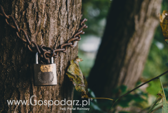 Zgoda na ochronę przyrody, ale na jaśniejszych zasadach