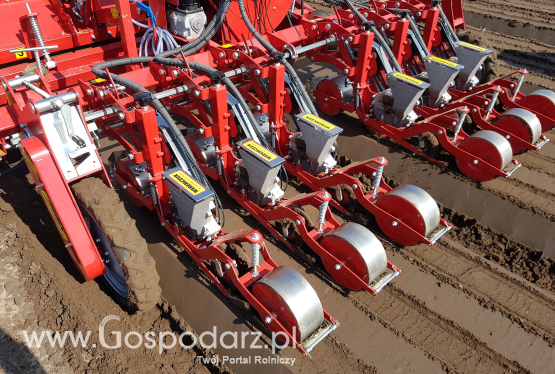 Jaki siewnik do wysiewu warzyw wybrać?