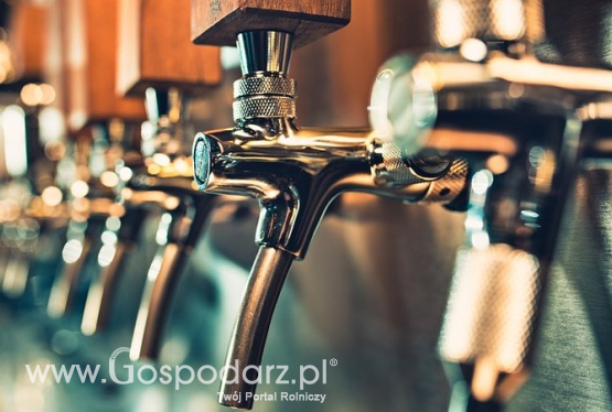 Piwo na pomoc gastronomii