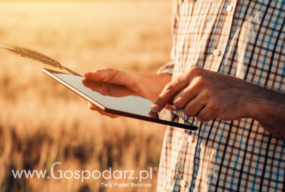 Podmioty skupowe otrzymają ceny referencyjne z Ministerstwa Rolnictwa