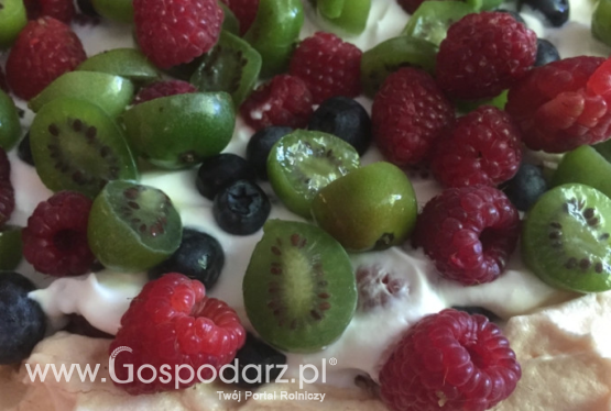 Minikiwi z SGGW na sklepowych półkach