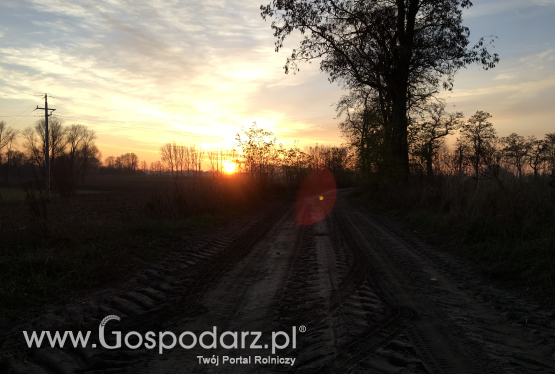 Zaliczki: 8,4 mld zł na kontach rolników