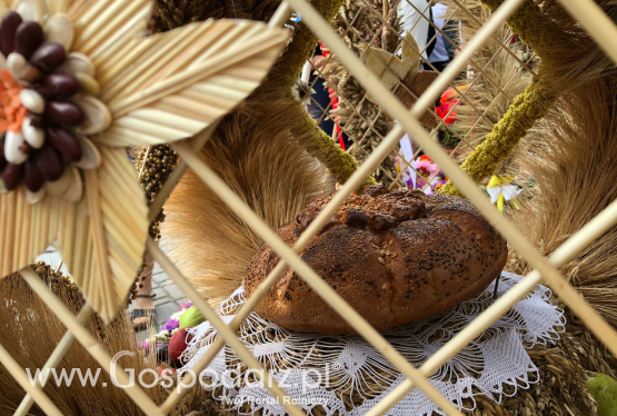 Święto plonów w Kujawsko-Pomorskim