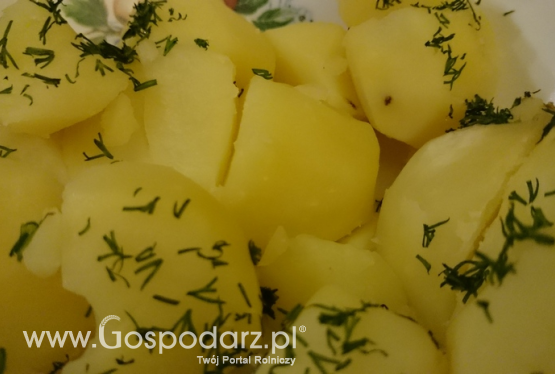 Spadek spożycia ziemniaków