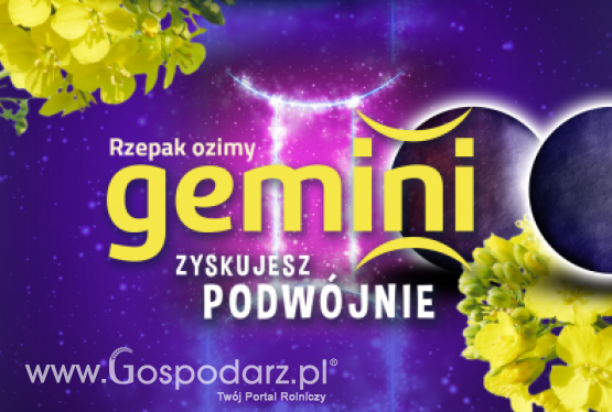 Rzepak ozimy GEMINI - zgłoszony do Złoty Medal Polagra Premiery 2020