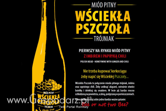 Nie ma odlotu bez Wściekłej Pszczoły…
