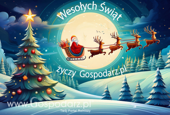 Życzenia na Boże Narodzenie