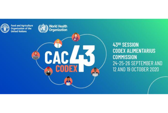 43. Sesja Komisji Kodeksu Żywnościowego FAO/WHO