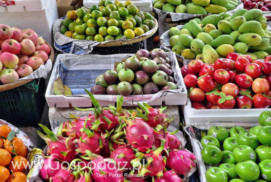 Kolejny rekord eksportu rolno-spożywczego z UE w lipcu 2019 r.