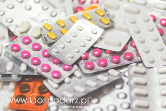 Czy antybiotyki szkodzą zamiast pomagać?