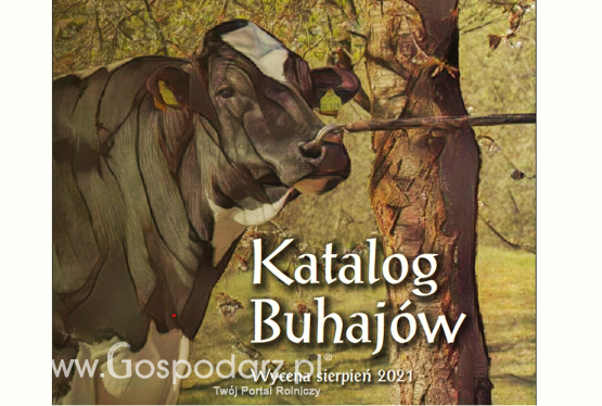 Katalog buhajów 2021 po sierpniowej wycenie