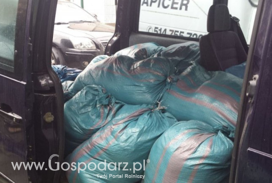 Policjanci zarekwirowali blisko pół tony krajanki tytoniowej