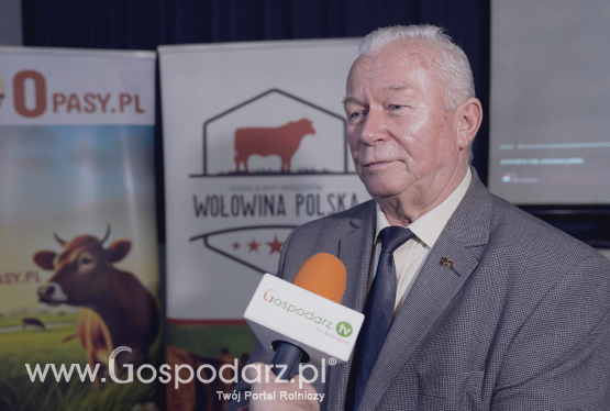 Rasy mleczne kluczowym filarem rynku wołowiny. Dlaczego ich rola rośnie?