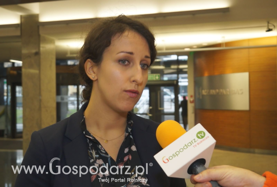 Zróżnicowane ceny trzody chlewnej w 2017 podsumowanie