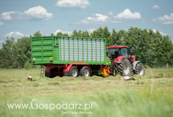 Pronar na Narodowej Wystawie Rolniczej