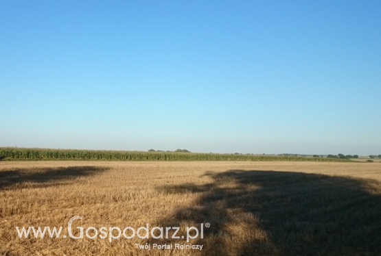 Słabsza od przewidywanej poprawa koniunktury rolnej