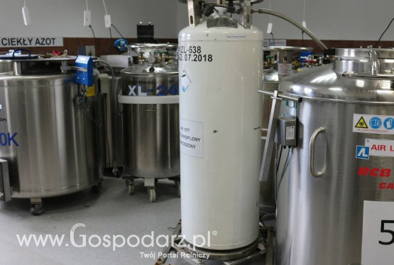 Tkanki zwierząt w banku genów