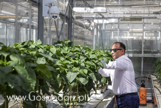 Roślinny Big Brother w SGGW