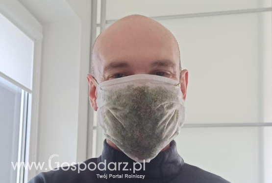 Innowacyjna maska z roślin chroniąca przed wirusami