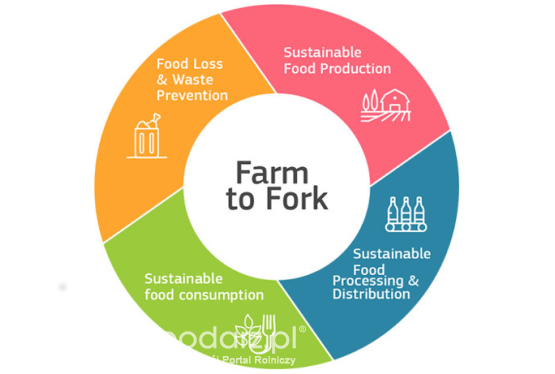 Strategia Farm to Fork