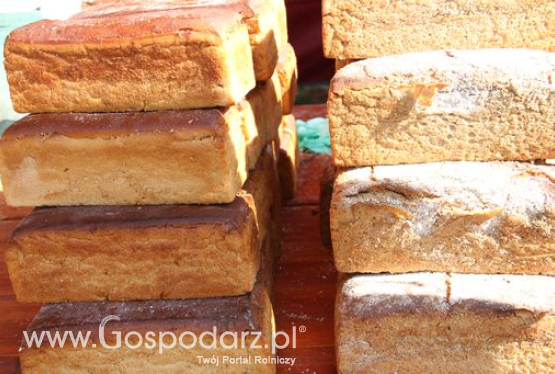 Przetwórstwo spożywcze zbóż