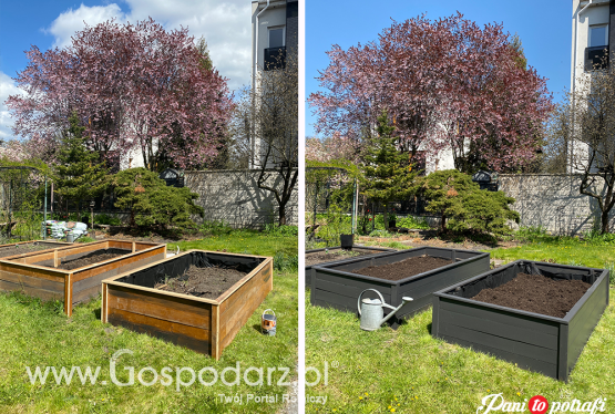 Budujemy ogródek warzywny… od deski do deski