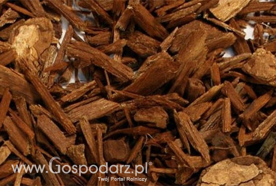 Nie dla johimby lekarskiej i przęśli w żywności!