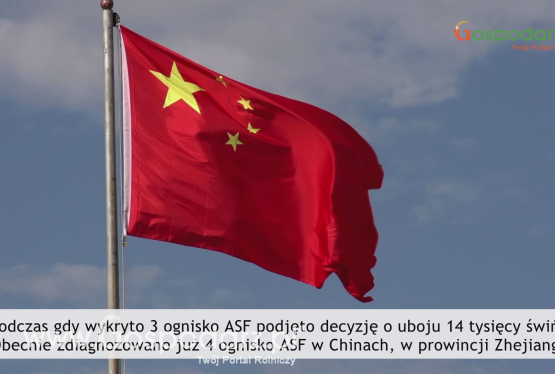 Tydzień Gospodarza 23 sierpnia 2018