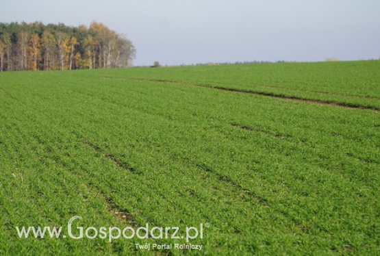 Łączenie ekoschematów z PROW nie jest możliwe