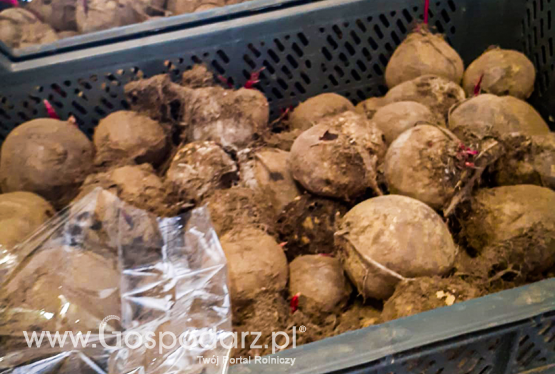 6 mln papierosów ukryte w transporcie buraków