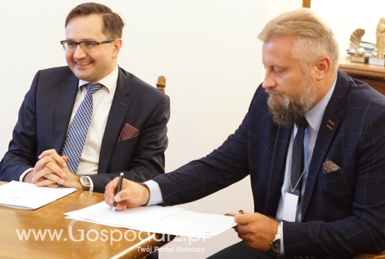 Ubezpieczenia rolnicze do naprawy