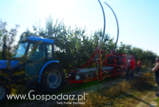 Zbiór śliwek agregatem MAJA AUTOMATIC - z wizytą w sadzie