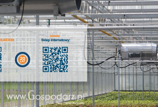 Moc płomienia w nagrzewnicach Winterwarm