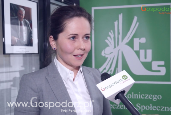 Strategia Wizja Zero