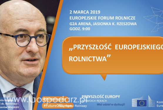 Debata z Premierem RP - transmisja online