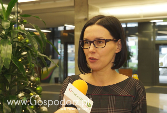 Podsumowanie sezonu 2017 prognoza na 2018 czyli cena rzepaku