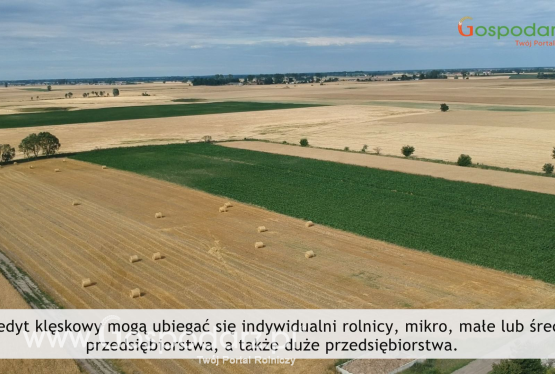 Tydzień Gospodarza 28.06.2018 - Kredyty klęskowe dla rolników