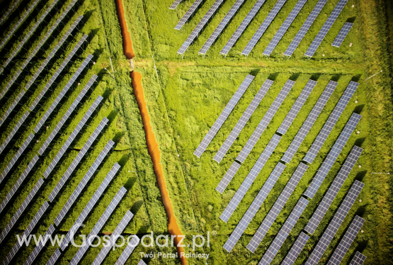 Enea wybuduje farmy fotowoltaiczne na ziemiach KOWR